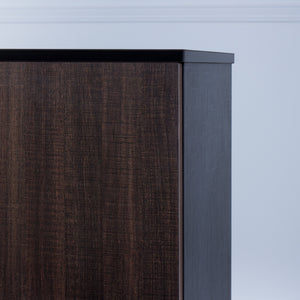 Space<br><i> <small>2 Door Storage Cabinet in Black</i></small>