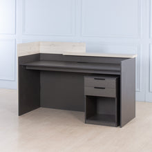 Load image into Gallery viewer, Entry<br><i> <small>Reception Desk </i></small>