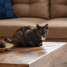 Load image into Gallery viewer, Pallet&lt;br&gt;&lt;i&gt; &lt;small&gt;Coffee Table&lt;/i&gt;&lt;/small&gt;